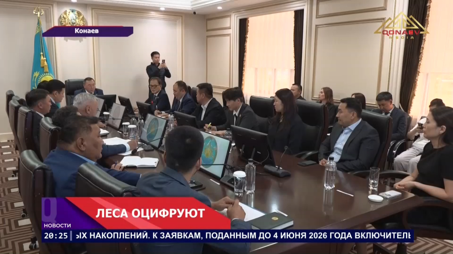 Леса оцифруют