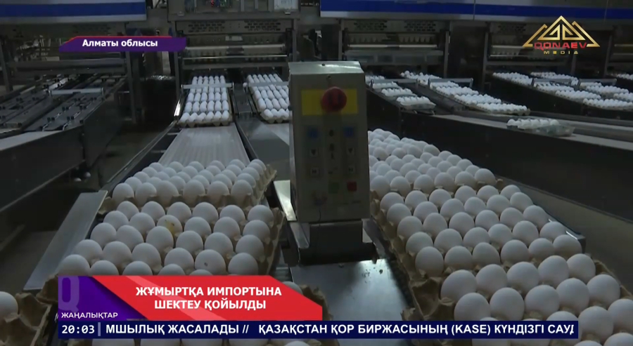 Қазақстан шетелден келетін жұмыртқаға тағы да шектеу қойды