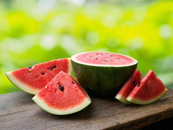 Алматы облысында 309 тонна құлпынай мен 15 мың тонна қарбыз жиналды