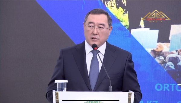 Конаев существенно преобразился после получения статуса областного центра — аким