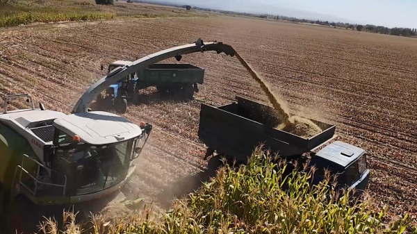 «Адал» компаниясы: ауыл шаруашылығында жаңа технологиялар мен жоғары өнімділік