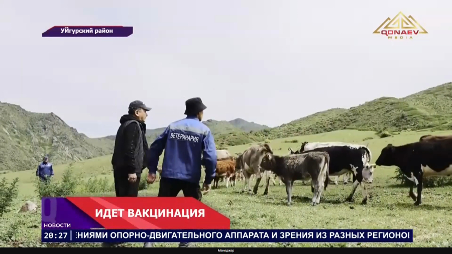 Прививка здоровья