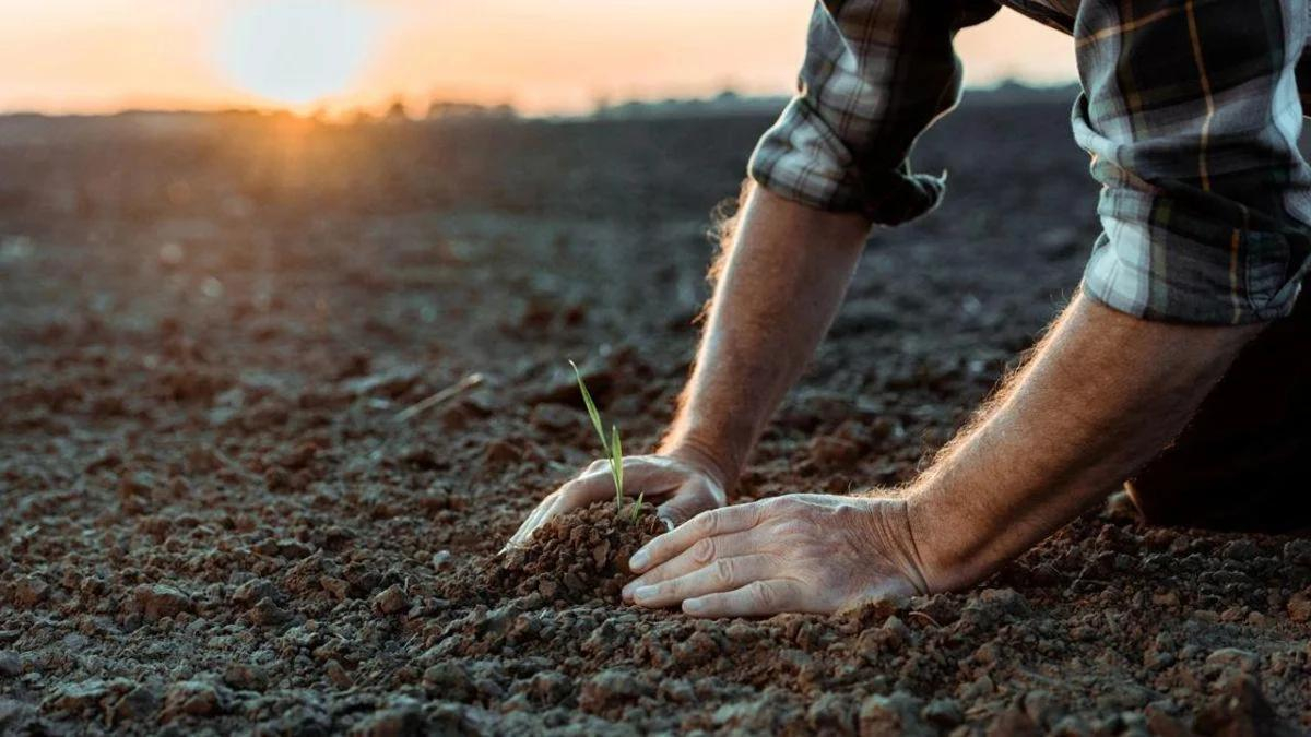 В Алматинской и Актюбинской областях откроют фермерские полевые школы