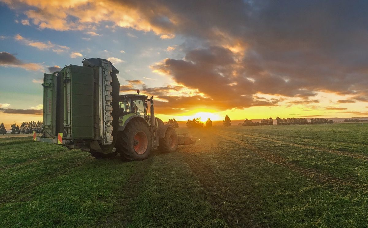 2025 жылы Қазақстанда ауыл шаруашылығы санағы өтеді