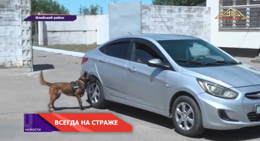 Всегда на страже