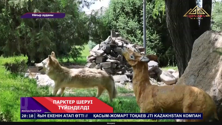 Шарын төріндегі белсенділер