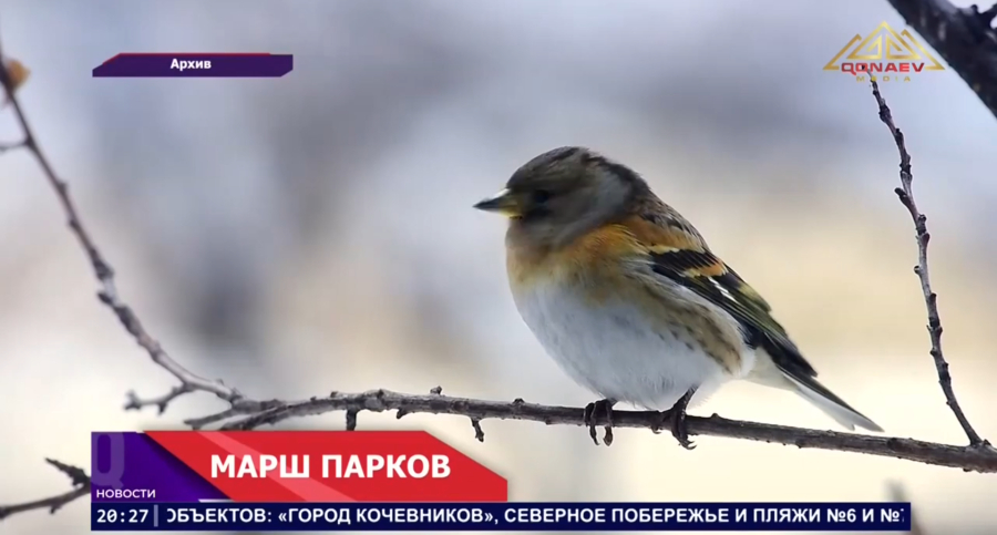 В Алматинской области стартовал «Марш парков»