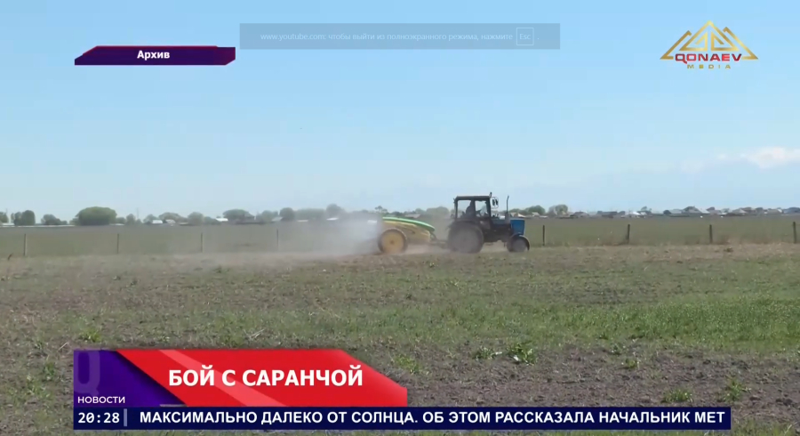 Бой с саранчой