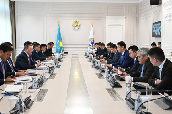 Экология, дороги и туризм: ключевые задачи обсудили на заседании Местного совета Алматинской агломерации