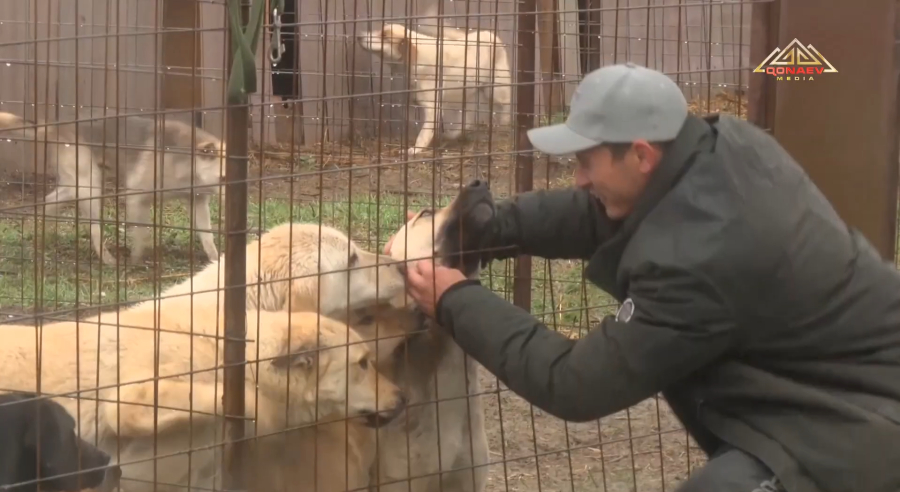 Новый закон о животных вызвал бурные споры в обществе