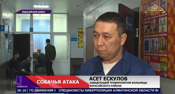 Шесть собак напали на женщину в селе Умтыл Карасайского района