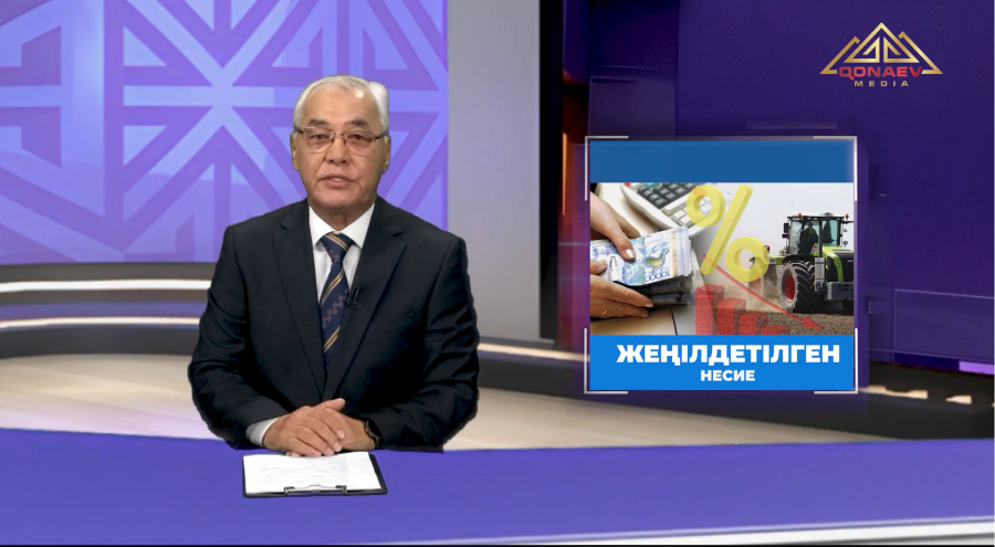 Жеңілдетілген несие