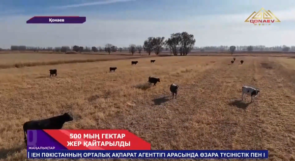 Алматы облысында соңғы үш жылда мақсатсыз игерілген 500 мың гектар жер мемлекет меншігіне қайтарылды