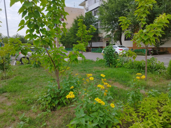 Қонаевта «Таза аула» байқауының жеңімпаздары анықталды