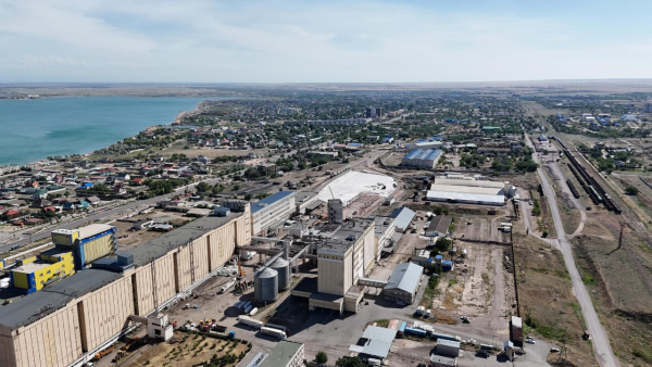 В Конаеве строится современный завод с экспортом в Китай: 8 млрд тенге инвестиций и сотни рабочих мест