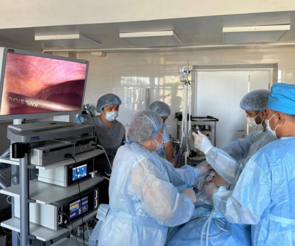 В Алматинской области мобильная медицинская группа оказывает помощь жителям отдалённых сёл