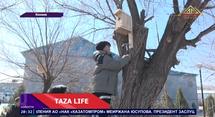 В Алматинской области молодёжь строит скворечники и формирует новую экологическую культуру
