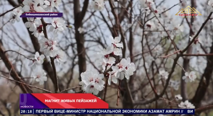 Поток путешественников в Тургеньское ущелье растёт с каждым годом