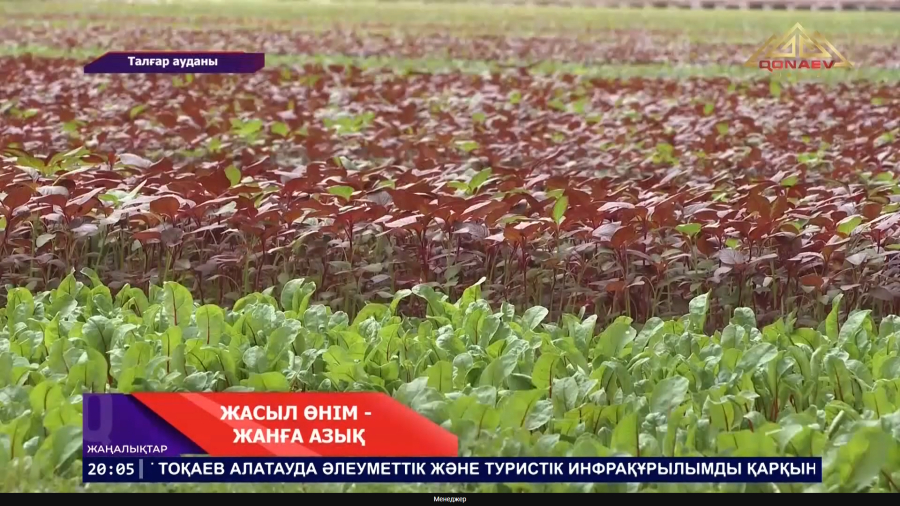 Мемлекет басшысы Талғар ауданына келді