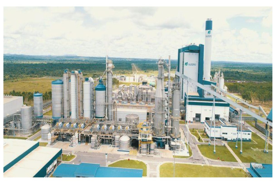 200 тысяч тонн камыша в год: в Балхашском районе откроют перерабатывающий комплекс