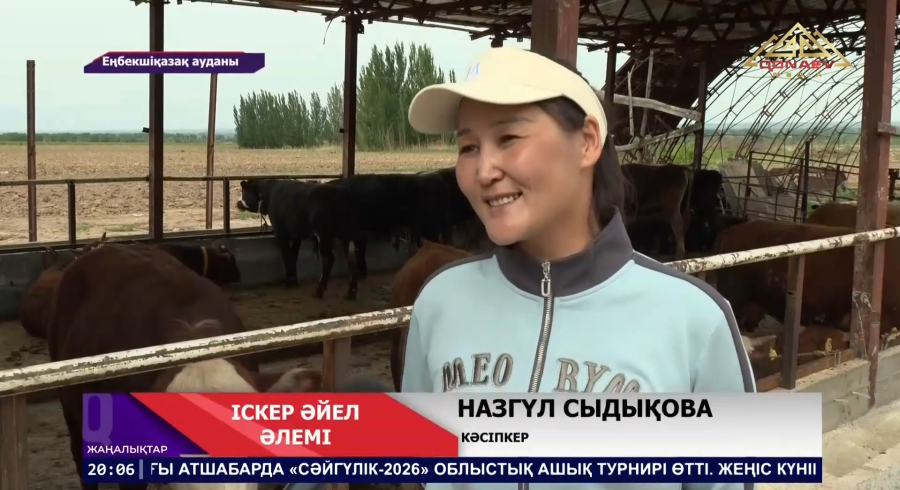 Іскер әйел әлемі