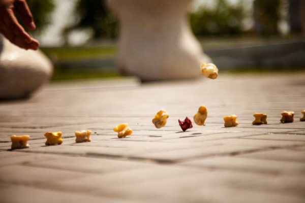 Кегенде ұлттық спорт түрлерінен облыс чемпионаты өтуде