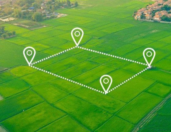 Қонаев қаласында пайдаланылмаған жер телімдері анықталды