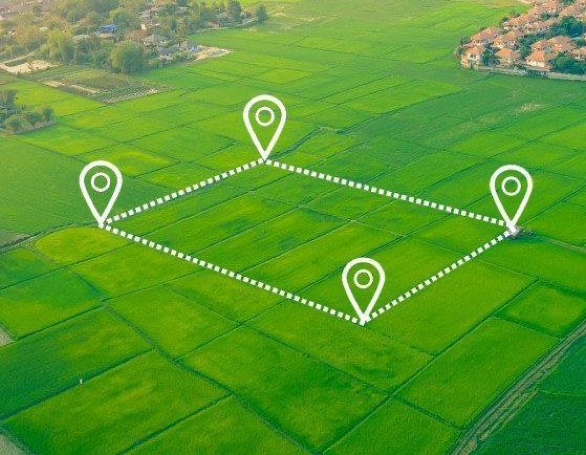 Қонаев қаласында пайдаланылмаған жер телімдері анықталды