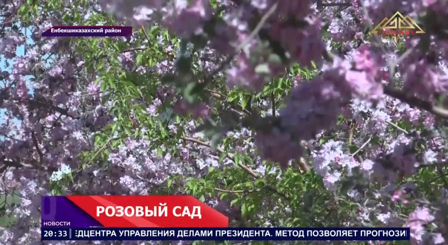 Розовый сад