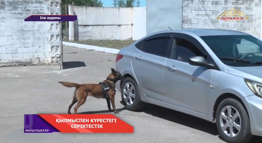 ҚЫЛМЫСПЕН КҮРЕСТЕГІ СЕРІКТЕСТІК