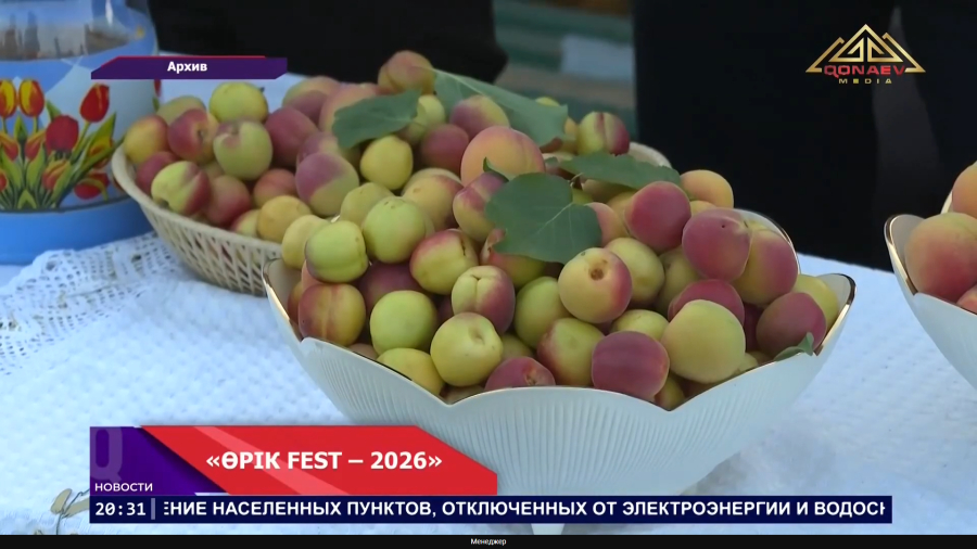 Уйгурский район вновь собирает гостей на «ӨРІК FEST – 2026»!