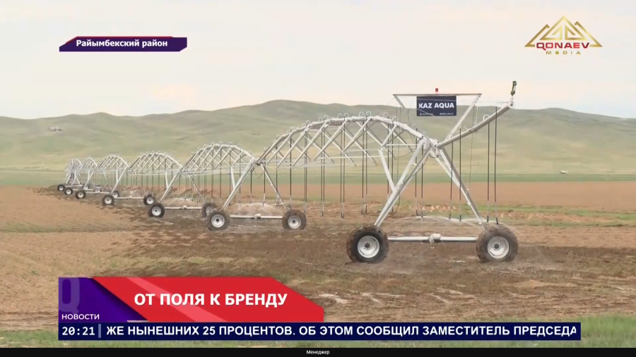 От поля к бренду