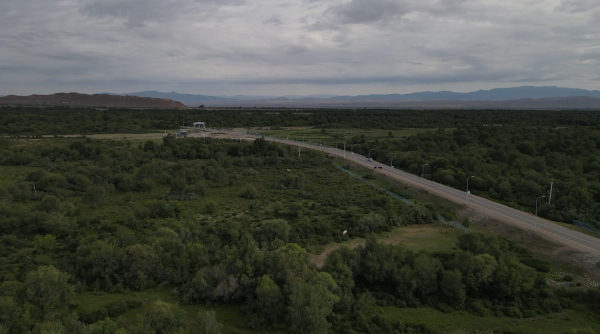 Райымбек ауданының табиғаты, Нарынқол