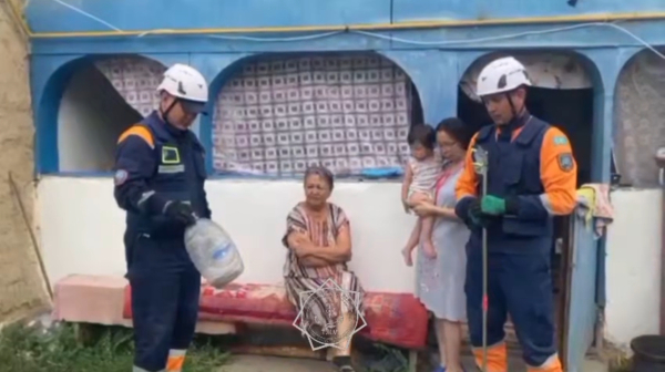 «Тыныш үйге тығылған қонақ» : Алматы облысында тұрғын үйден табылған жылан құтқарушылардың көмегімен табиғи ортаға жіберілді