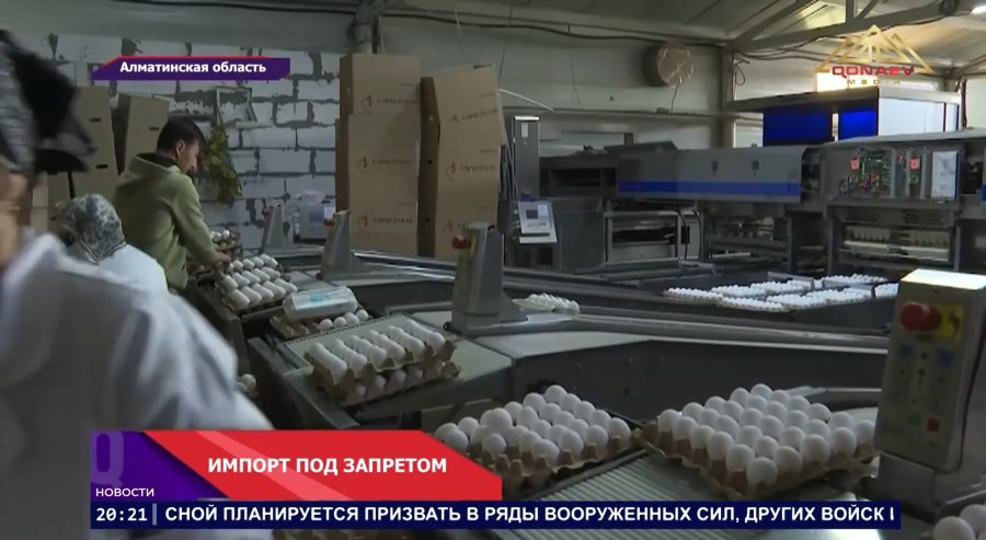 Казахстан вновь ввёл ограничения на импорт яиц из-за рубежа