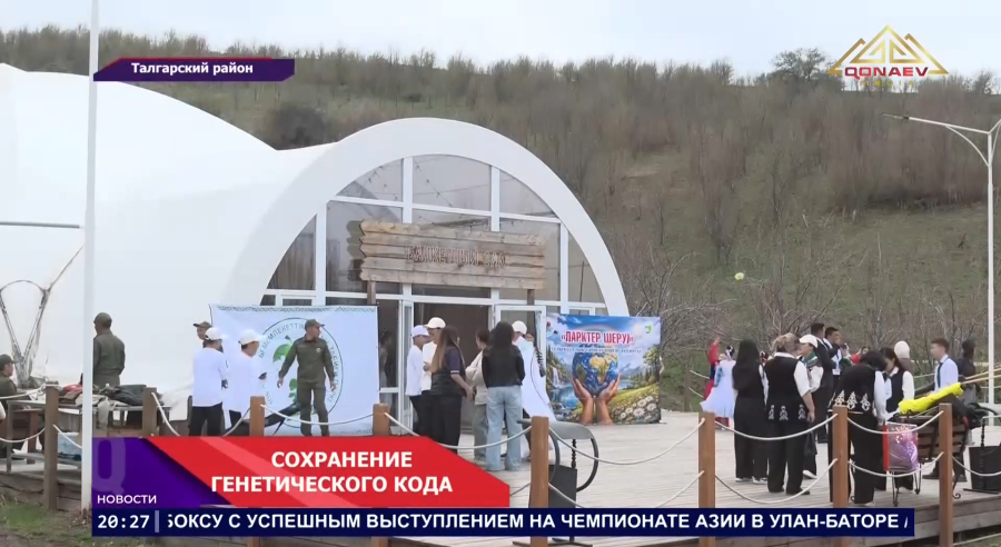 30 тысяч саженцев краснокнижного абрикоса высадили в Иле-Алатауском государственном природном парке.