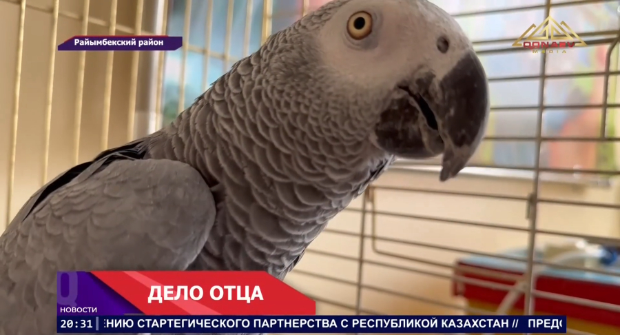 Экзотические попугаи, канарейки и еще много интересного в средней школе села Сарыжаз