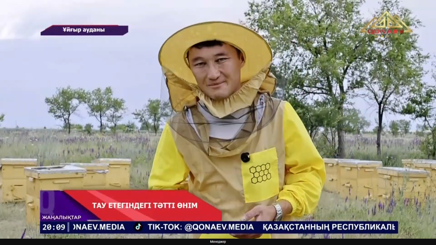 Тау етегіндегі тәтті өнім