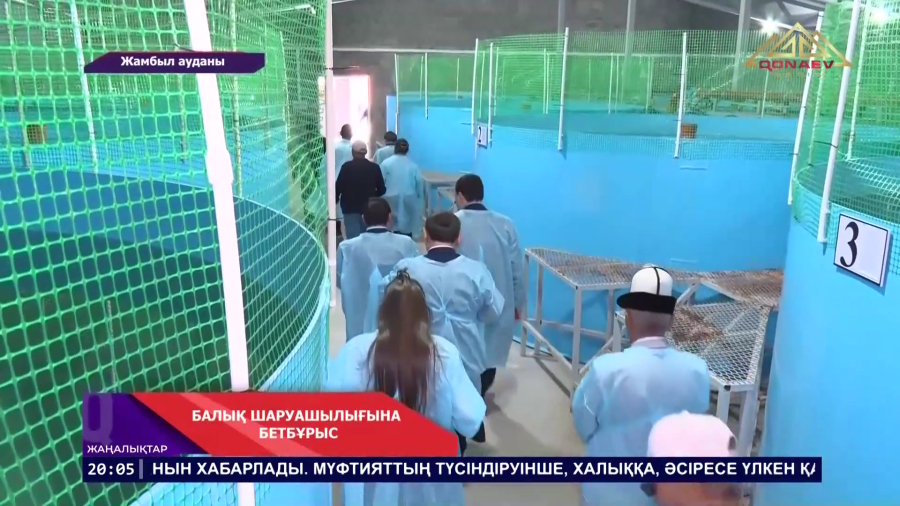 Балық зауыты ашылды