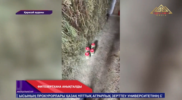 Алматы облысы, Қарасай ауданында есірткі қылмысын жасады деген күдікпен 41 жастағы ер адам ұсталды