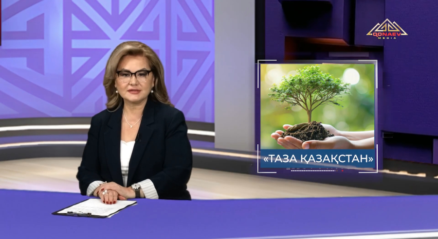 На этой неделе в Конаеве в рамках инициативы Таза Казахстан посадили 3000 деревьев