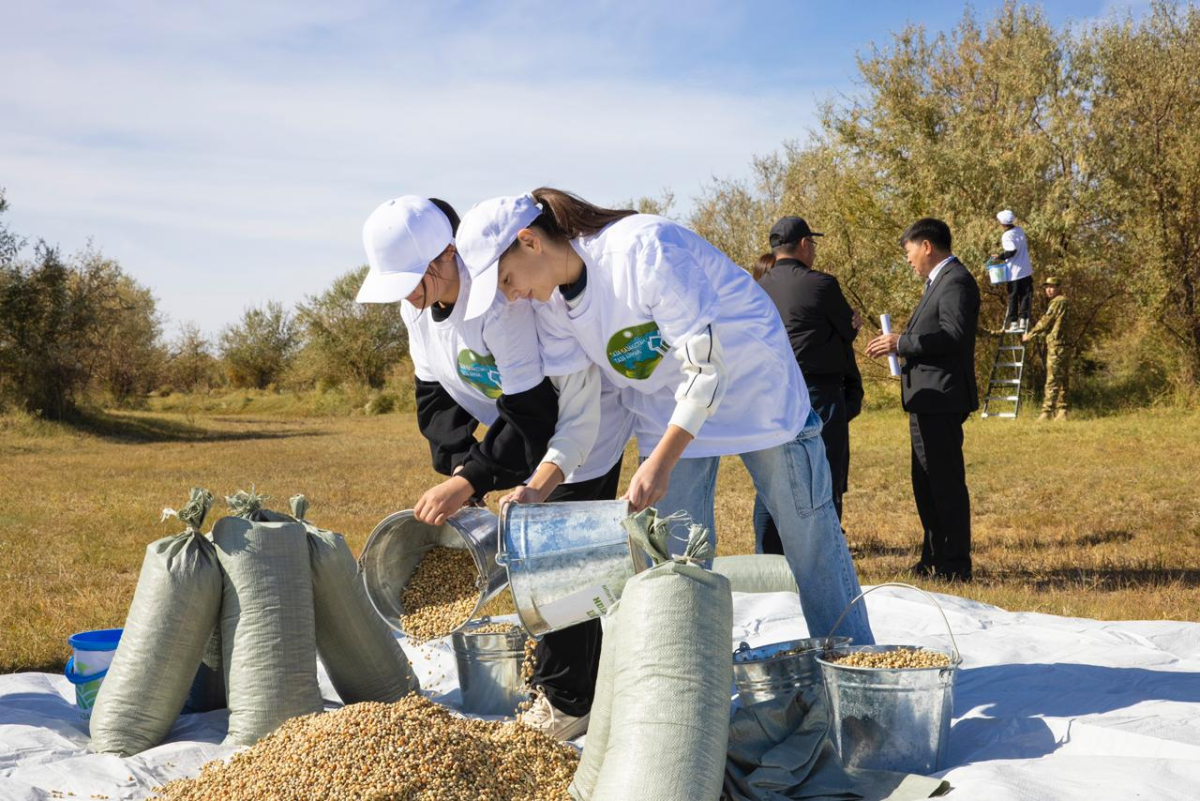 Алматы облысында «Таза Қазақстан» аясында 200 келіден астам жиде тұқымы жиналды